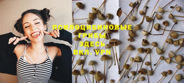 прущие крисы Алзамай