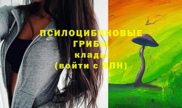 прущая мука Алексин