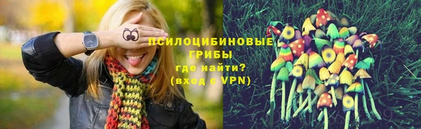 прущие крисы Алзамай