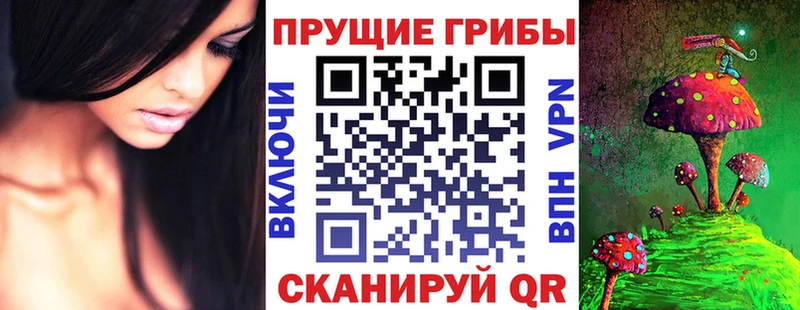 Галлюциногенные грибы Psilocybe продажа наркотиков гидра ССЫЛКА Чаплыгин